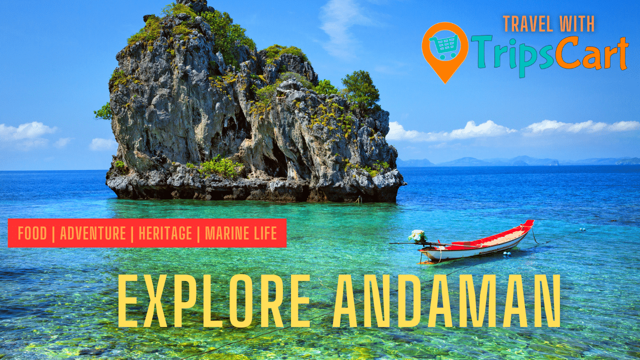 Delhi to Andaman tour package