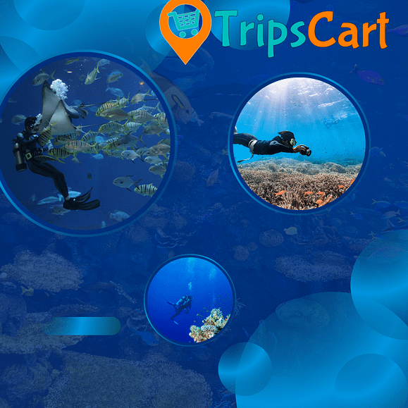 scuba in Andaman Nicobar